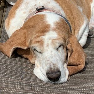 Meet your Posher, Marisol